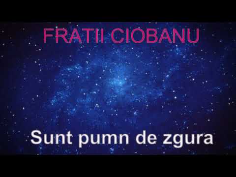 Fratii Ciobanu - Sunt pumn de zgura