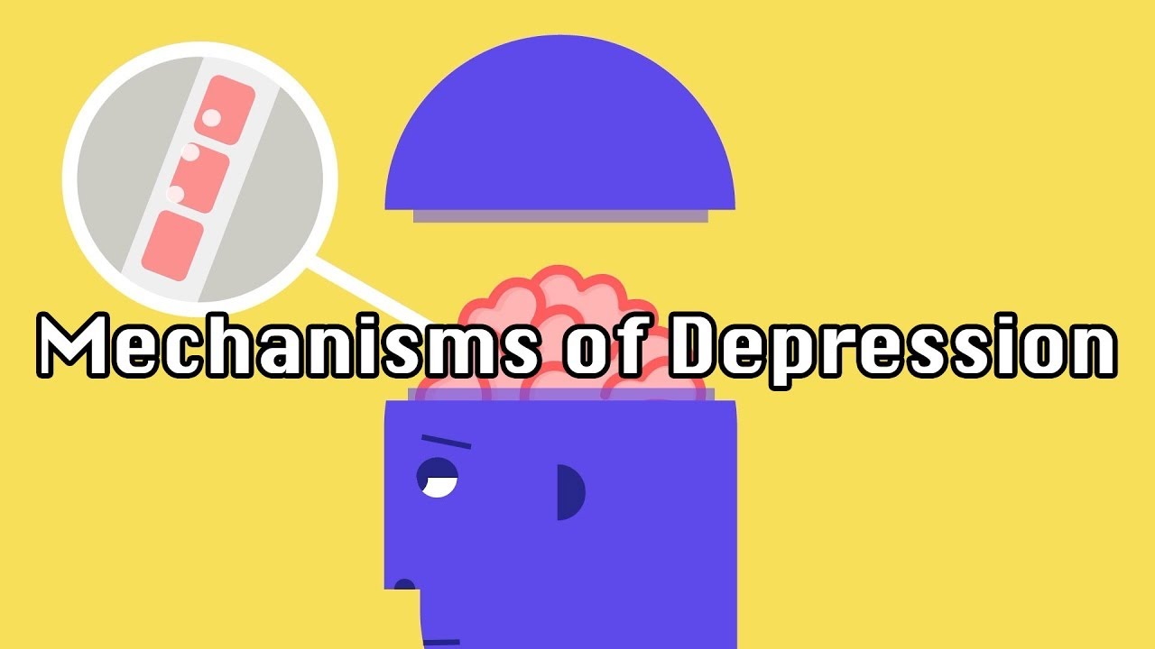 The Underlying Mechanisms of Depression
