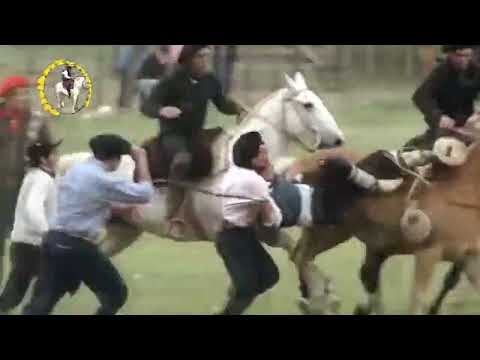 Rider risks his life to save a fellow rider #horses #rider #charreada #horse videos