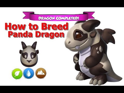 How to Breed Panda Dragon-Dragon Mania Legends | DML | HD