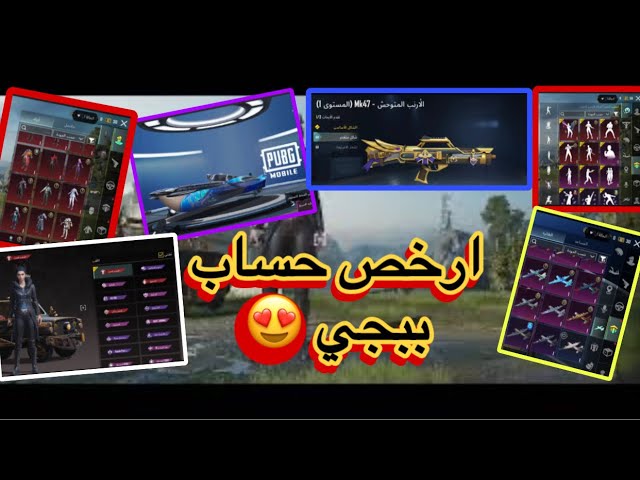 حساب ببجي عالمية  كل مسج