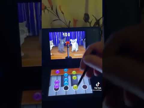 Nintendo DS music rhythm game cats singing Mozart - Queen of the Night aria