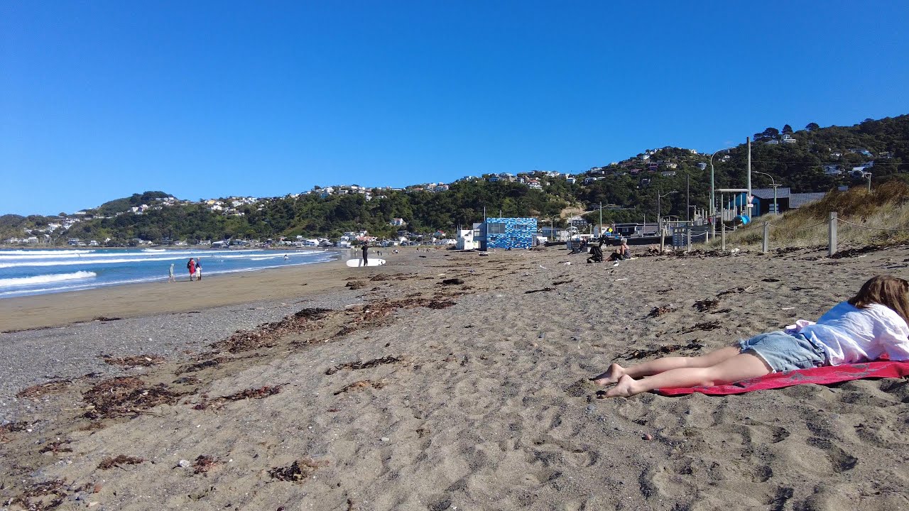 Embark on a walking tour to Lyall Bay.