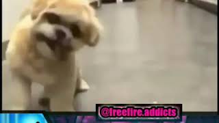 Download lagu Kata baba lucu abis plus bikin warga 62 ketawa ngankak mp3 Download lagu Kata baba lucu abis plus bikin warga 62 ketawa ngankak mp3