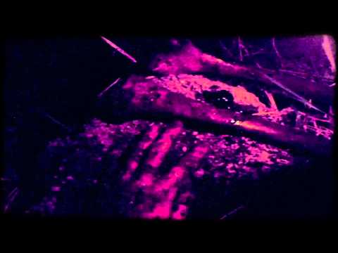 WATAIN - All That May Bleed (OFFICIAL TRAILER)