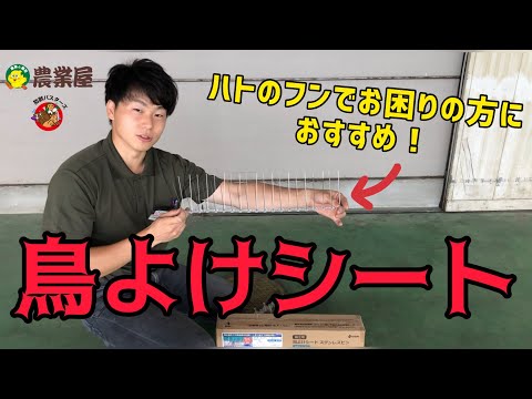 ハトをバルコニーから遠ざける方法 目に見えない、無毒で長持ちする