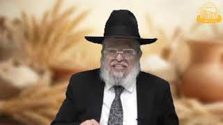 דף היומי בחצי שעה – מסכת מנחות דף צ”ב