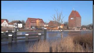preview picture of video 'Am Ufer der Peene Loitz 17.01.2015'
