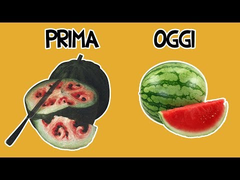 Quali vitamine meglio prendere gli uomini per aumentare la potenza Farmaci per aumentare la potenza negli uomini senza effetti collaterali comprare