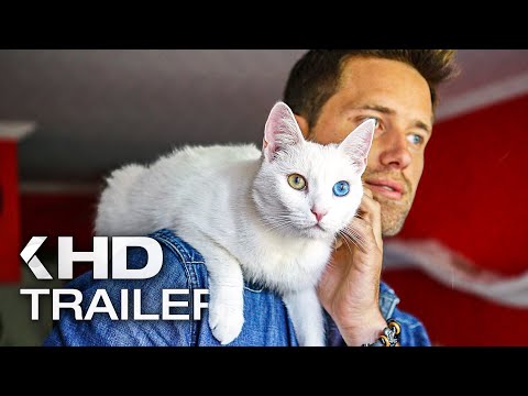 Trailer-Vorschau: Cat Daddies - Freunde für sieben Leben