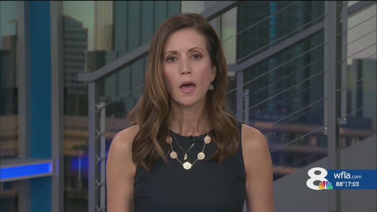 Bodycam released of Manatee commissioner suspected in DUI crash