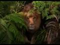 George Of The Jungle