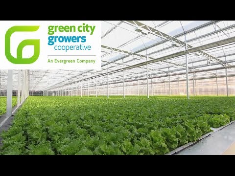 Green City Growers