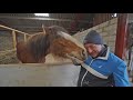 Highland Farm Animals Scotland Lindblad Expeditions