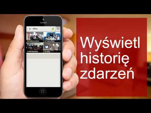 Prezentacja INSIGHT - zdjęcie