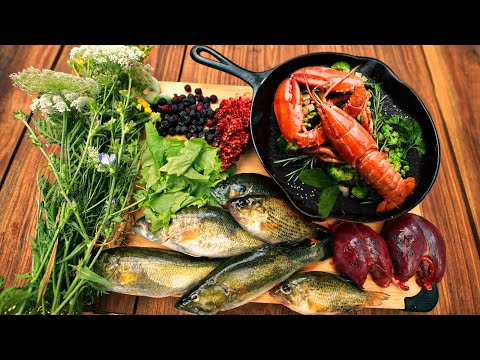 Surviving 72-Hours 'Eating Whatever We Catch Challenge' - Air, Land, and Water