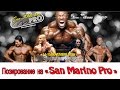 Posing of IFBB Pro Men's Physique - Denis Gusev at San Marino Pro-2015