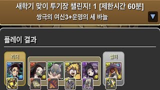 [새학기 맞이 투기장 챌린지! 1] 혁작의 아이 카마도 탄지로×파스카 pt.