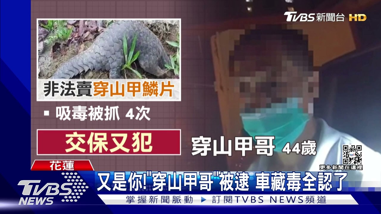 又是你!「穿山甲哥」被逮 車藏毒全認了