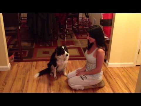 Sona the hugging dog!