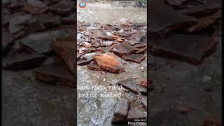 Download lagu Safira Inema - Sayang Kowe Lirik (Status WhatsApp) 2 mp3 Download lagu Safira Inema - Sayang Kowe Lirik (Status WhatsApp) 2 mp3