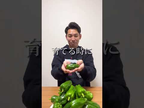 ジャカルタのスラム街での生活。