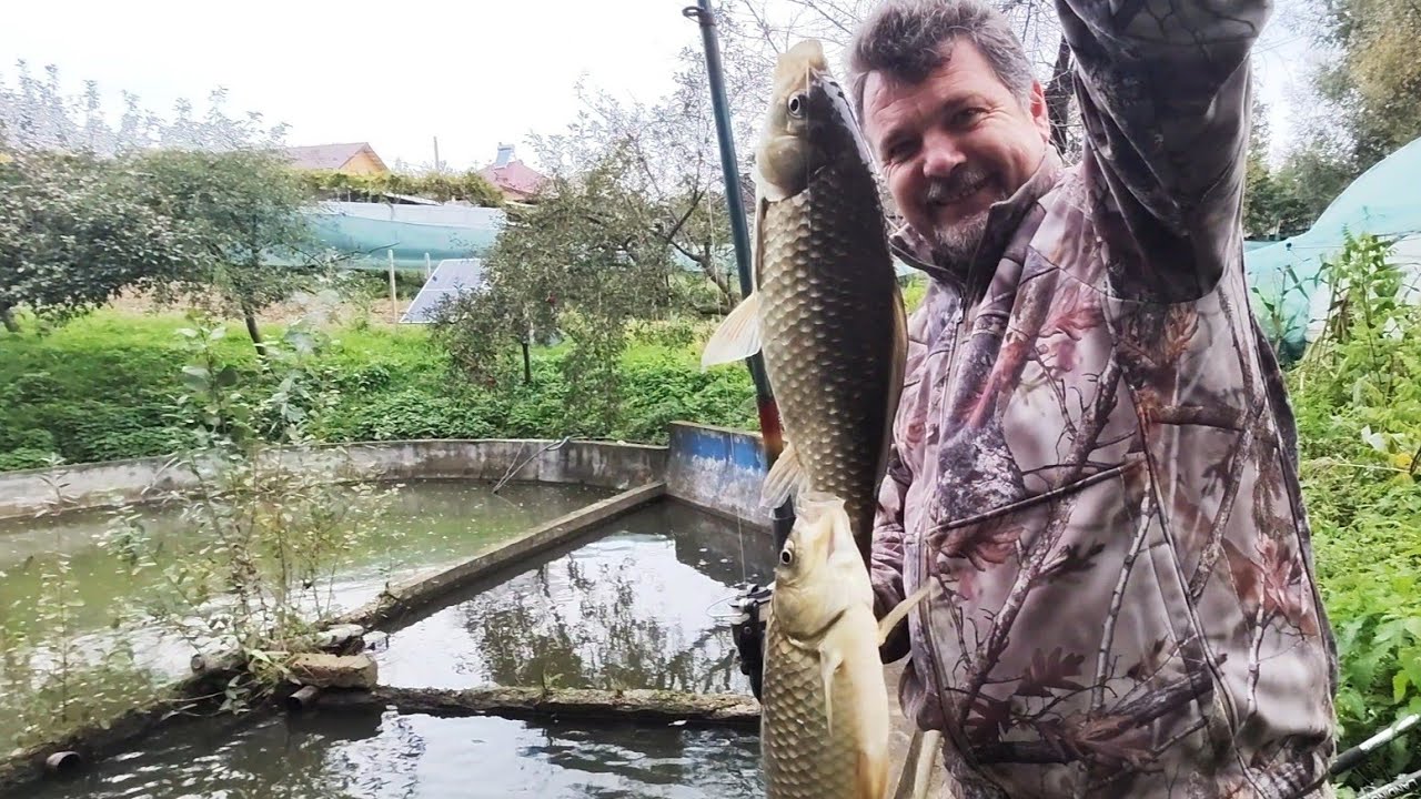 PESCUIT LA CARAS🐟 ZACUSCĂ CU GHEBE🍄 LUCRĂRI ÎN SOLAR🌶️🍅