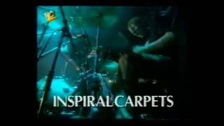 Inspiral Carpets @The Beat - In concert (1994)
