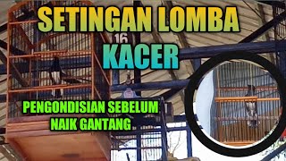 Download lagu SETTING OF THE KACER COMPETITION - CONDITIONING BEFORE RIDING THE HANDMADE mp3