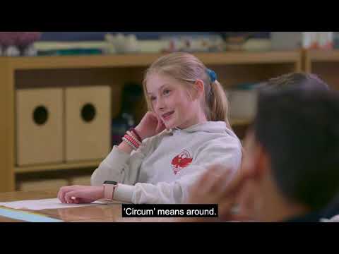 Module 2 Classroom Instruction: 2 C Instructional Best Practices