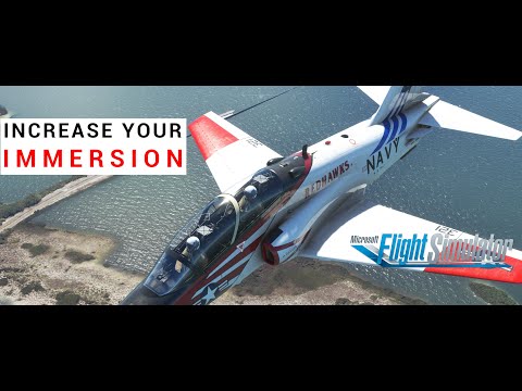 How To Increase Your Immersion in MSFS (Microsoft Flight Simulator)