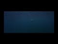 John Williams - 23 The Shark Approaches (Film Version)
