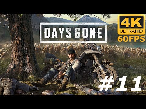 Zagrajmy w Days Gone odc: 11 - Żelazny Ząb
