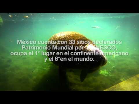 UN MENSAJE DE MÉXICO PARA EL MUNDO: CONSTRUYAMOS PUENTES, NO BARRERAS.