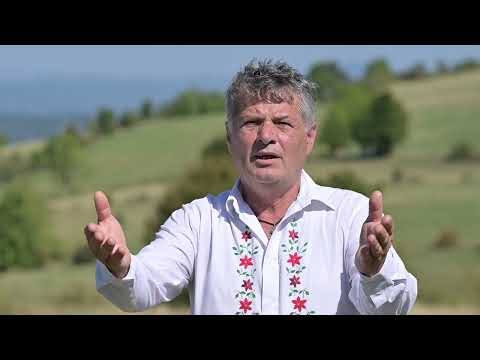 Dragan Komazec -  Sine ,sine