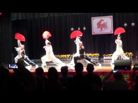 Tai Ji Gong Fu Shan 011417