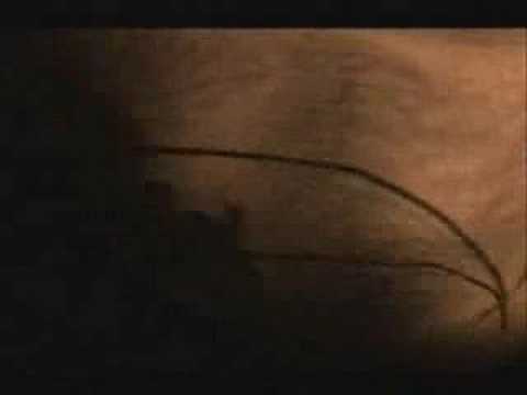 t.A.T.u. & Rammstein - Pruzhinki