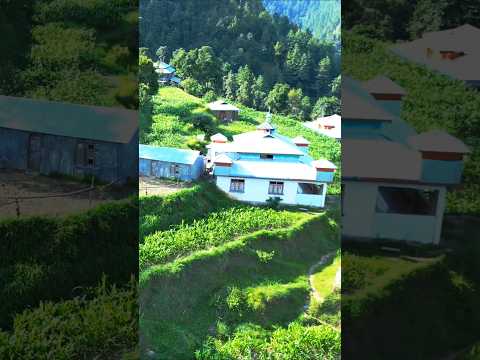 ghulam ali ghazal#explorethebeautyofnature #nature #villagelife #status