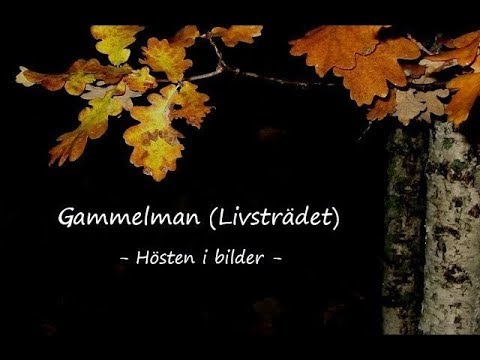 Gammelman + Höstbilder