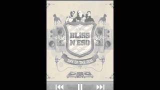 Bliss 'n' Eso It's working