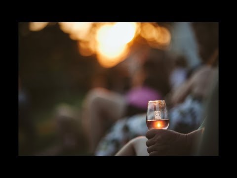 Tízforrás fesztivál Hegykő - Vlog 03