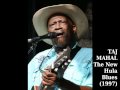 Taj Mahal - The New Hula Blues (1997)