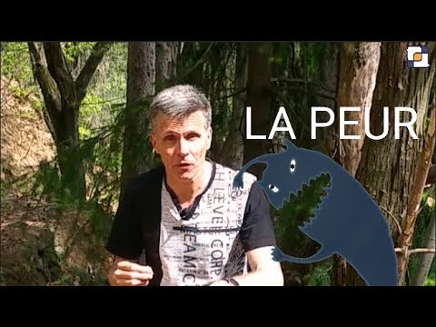 Communication : quand la peur nous manipule