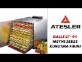 DALLE LT 91 || Meyve Sebze Kurutma Fırını