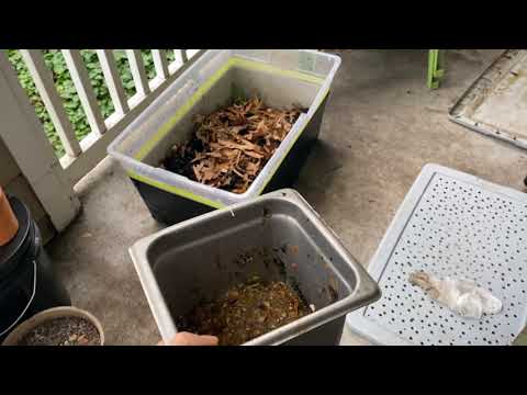 1 min visual storytelling: vermicomposting