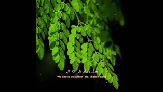 Download lagu dj al qolbu mutayyam.... mp3