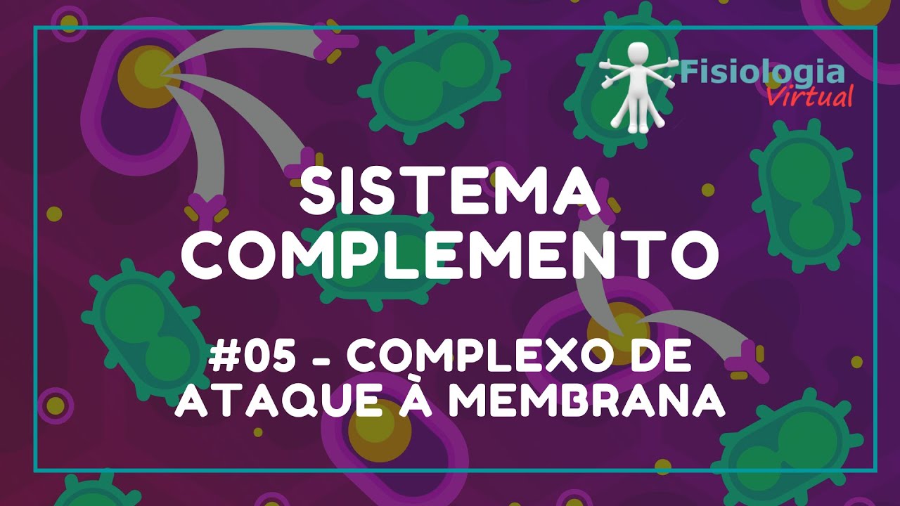 #05 Complexo de Ataque à Membrana - Sistema Complemento - Imunologia