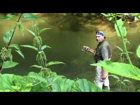 Natură și aventură - Pescuit pe Bistra Mărului și Șucu