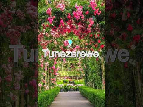 BIBA MUGITONDO ( 286 gushimisha) by Damascene & Emelyne with lyrics 