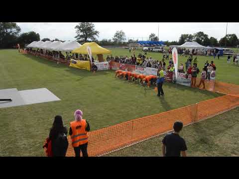 4.kolo ZSHL Pata - Poľný Kesov muži